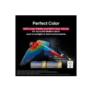 LG Smart TV LG OLED AI CS5 4K 65&nbsp;pouces 120&nbsp;Hz Télécommande AI Magic Remote webOS25 2025 , Perroquet coloré en ultra haute définition sur un fond noir. On voit des gouttes d’eau suspendues dans l’air tout autour. L’image présente la technologie Perfect Color, car chaque couleur différente d, OLED65CS5VA, thumbnail 8