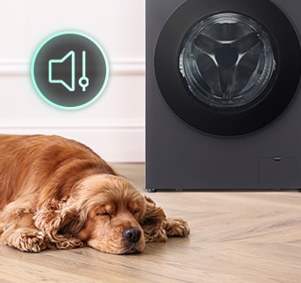 There's a dog lying in front of the washing machine and there's a sound icon