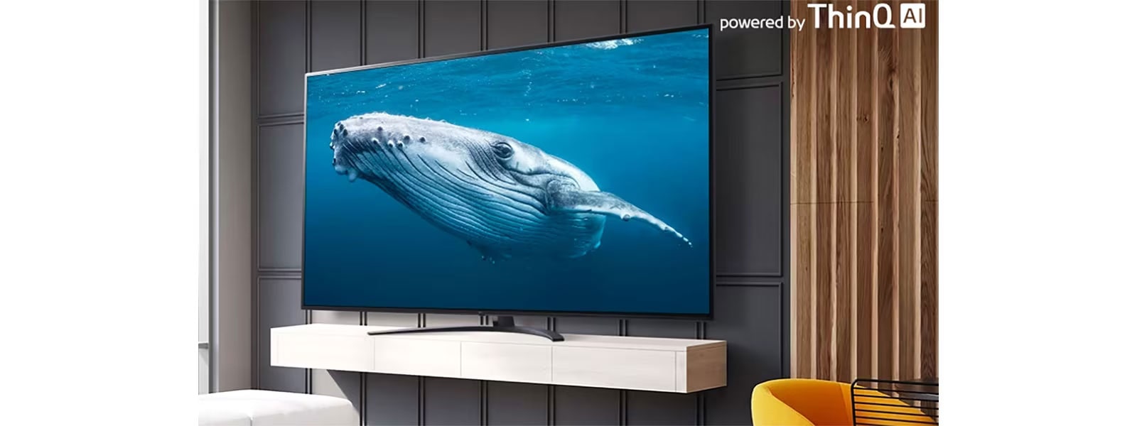 Power On and Basic Setup