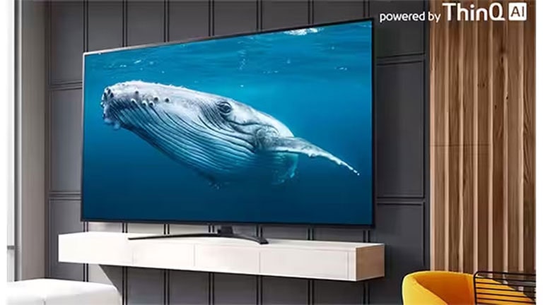 Power On and Basic Setup