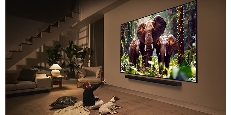 The Power of Scale: Why This 100 Inch Smart TV Redefines Immersion