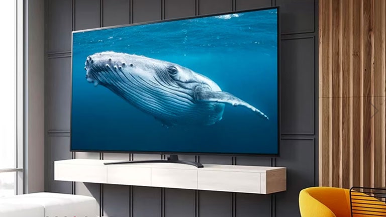 Body-Mobile-768X432-sec