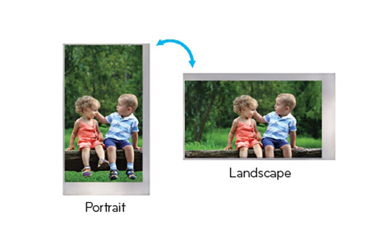 Landscape & Portrait2