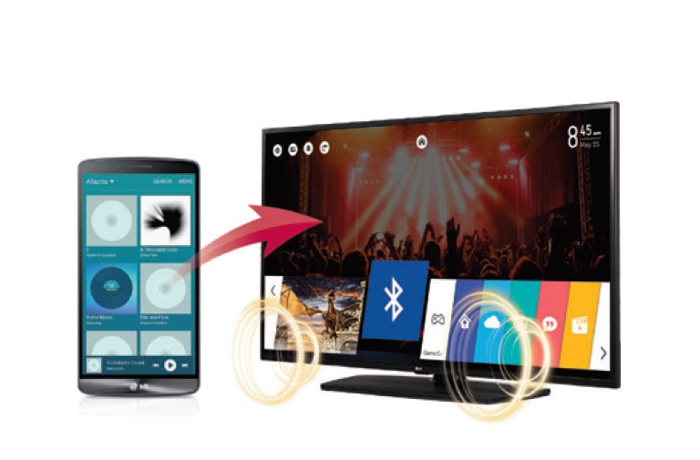 Bluetooth Sound Sync (Bluetooth 3.0)<br>2