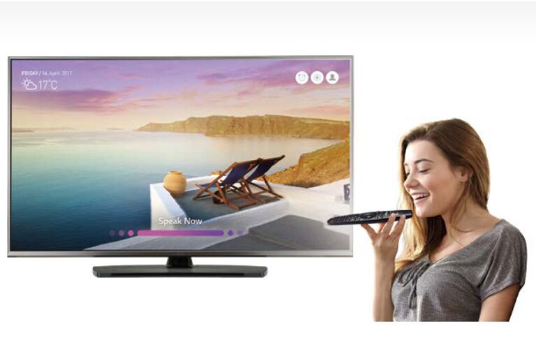 Voice Recognition<br>2