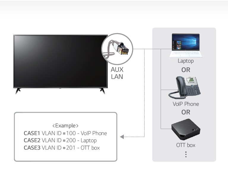LAN out with VLAN (Virtual LAN) ID<br>2