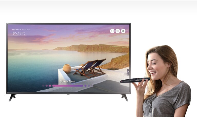 Voice Recognition<br>2