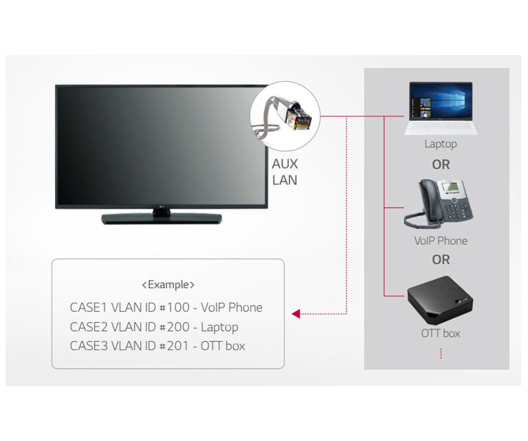 LAN out with VLAN (Virtual LAN) ID<br>2