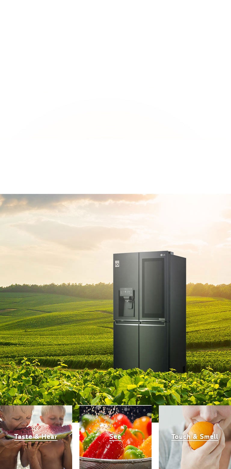 LG 570 Litres Fridge GC X22FTQKL Net 426 L Slim French Door