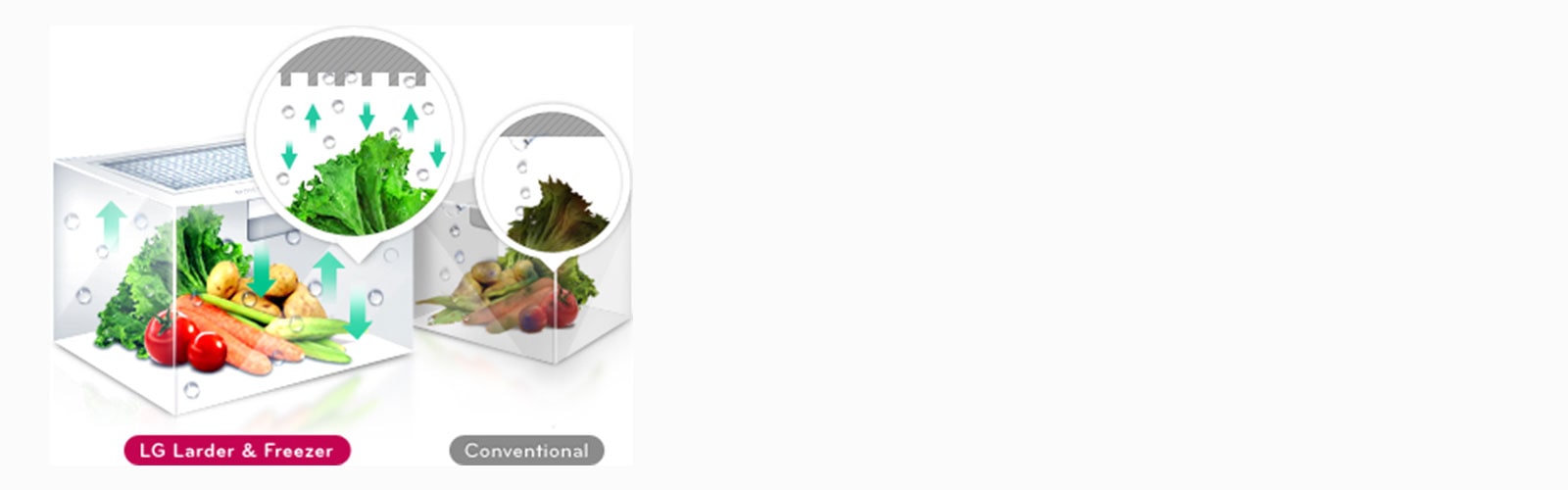 D09_lg-refrigerator-lansen-feature_Moist_Balance_Crisper_D1