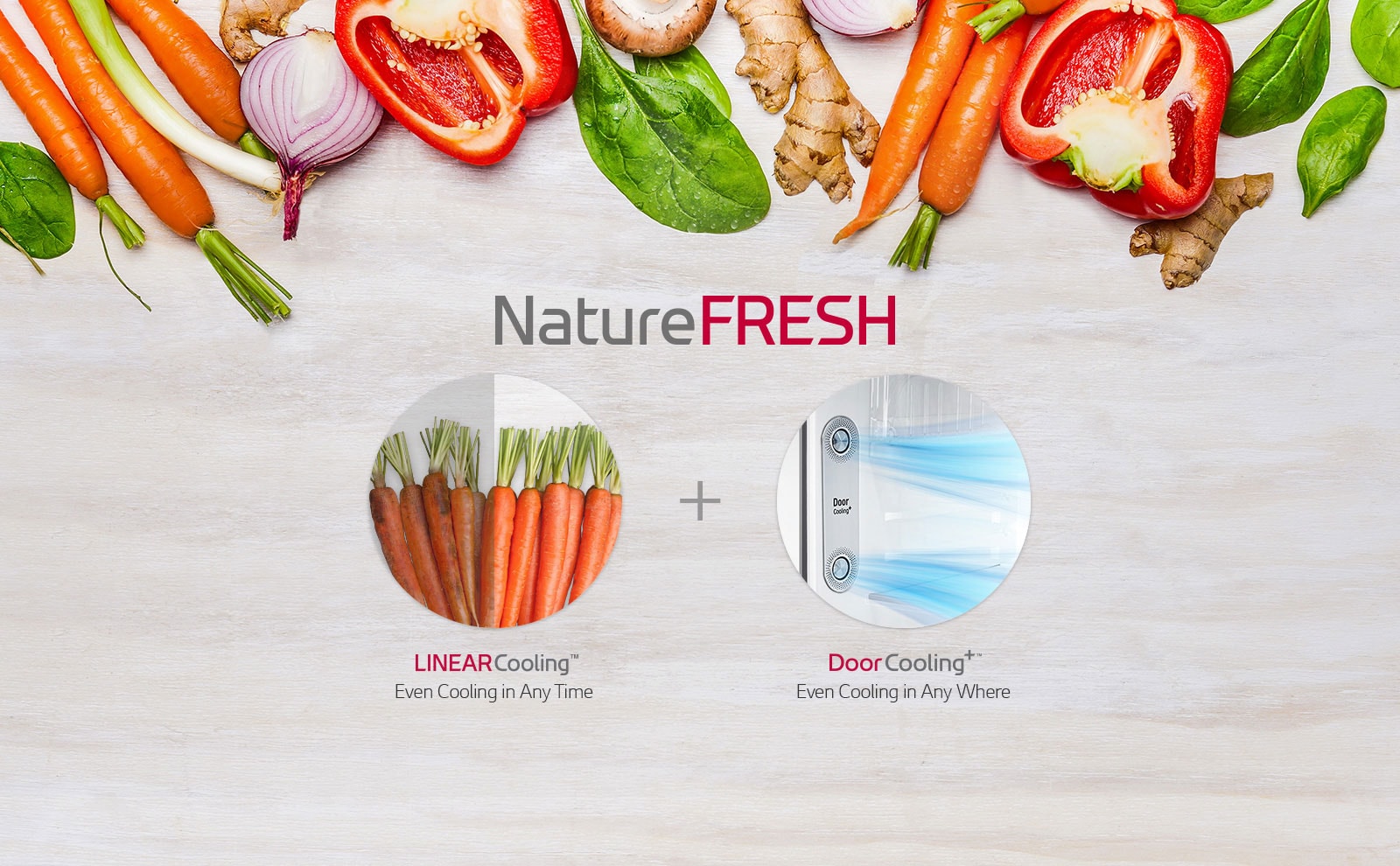 LG Net 256(L) Top Refrigerator | Nature Fresh | Multi Air Flow | LG East Africa