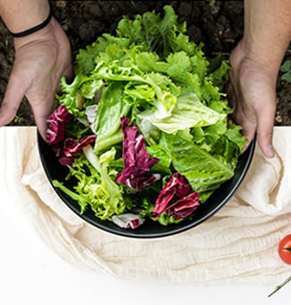 Hands holding a bowl filled with fresh vegetables on a table.