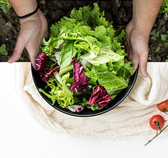 Hands holding a bowl filled with fresh vegetables on a table.