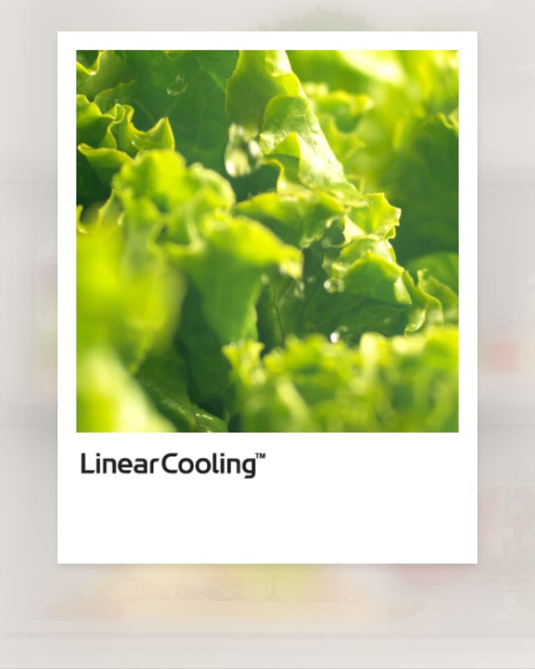 Linear cooling graph with fresh vegetables nearby, showing temperature fluctuations kept within ±0.5℃ for food freshness.