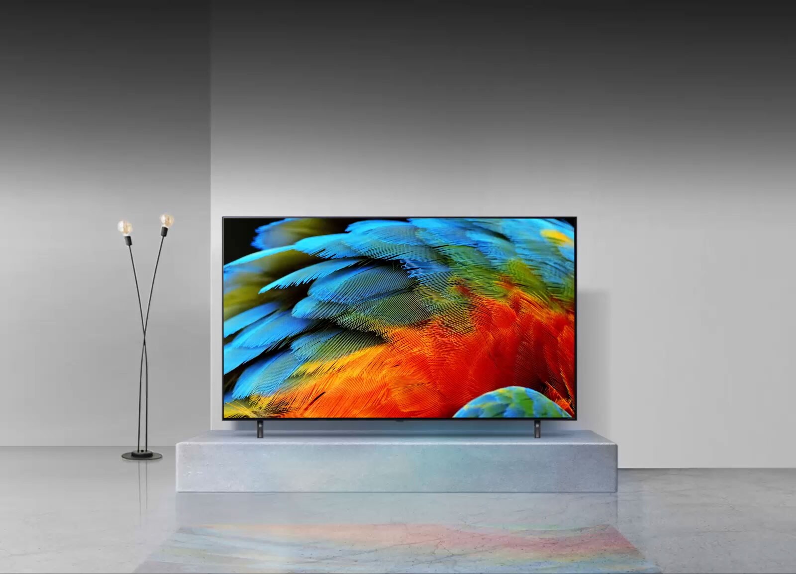 Close-up of fine details of a colorful bird feather are enhanced with the α7 Gen5 AI Processor 4K.