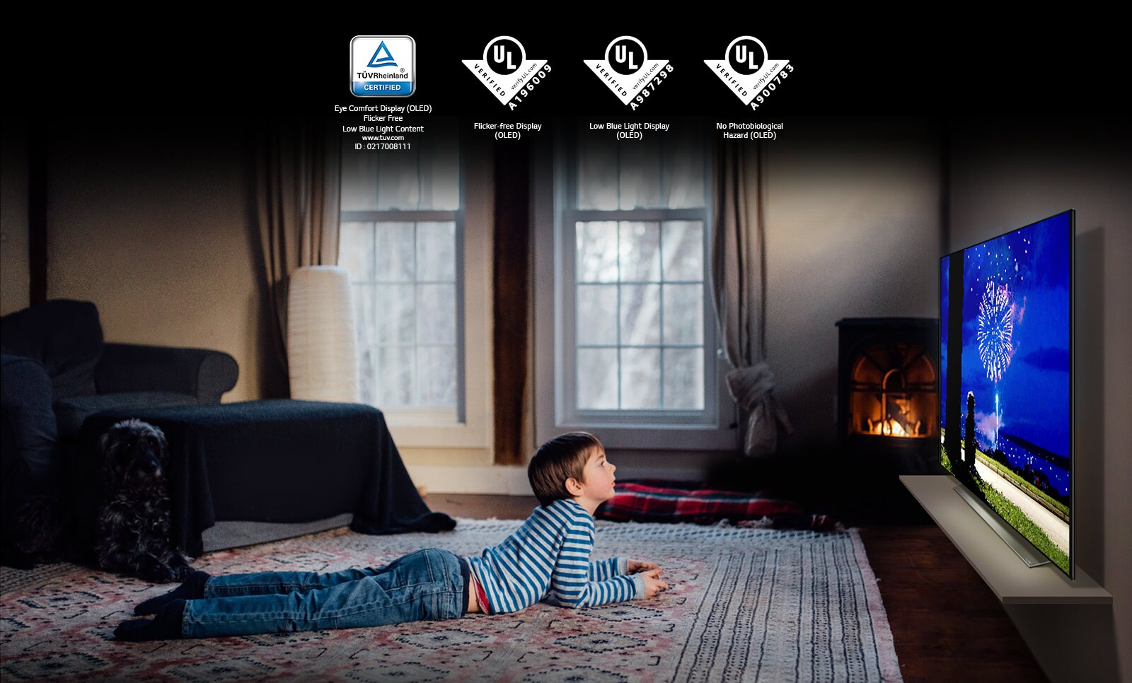 This is the card describing the "Eye Comfort Display". This is a scene of a boy watching TV in a prone position. Four logos have been placed for "Eye Comfort Display" certification.