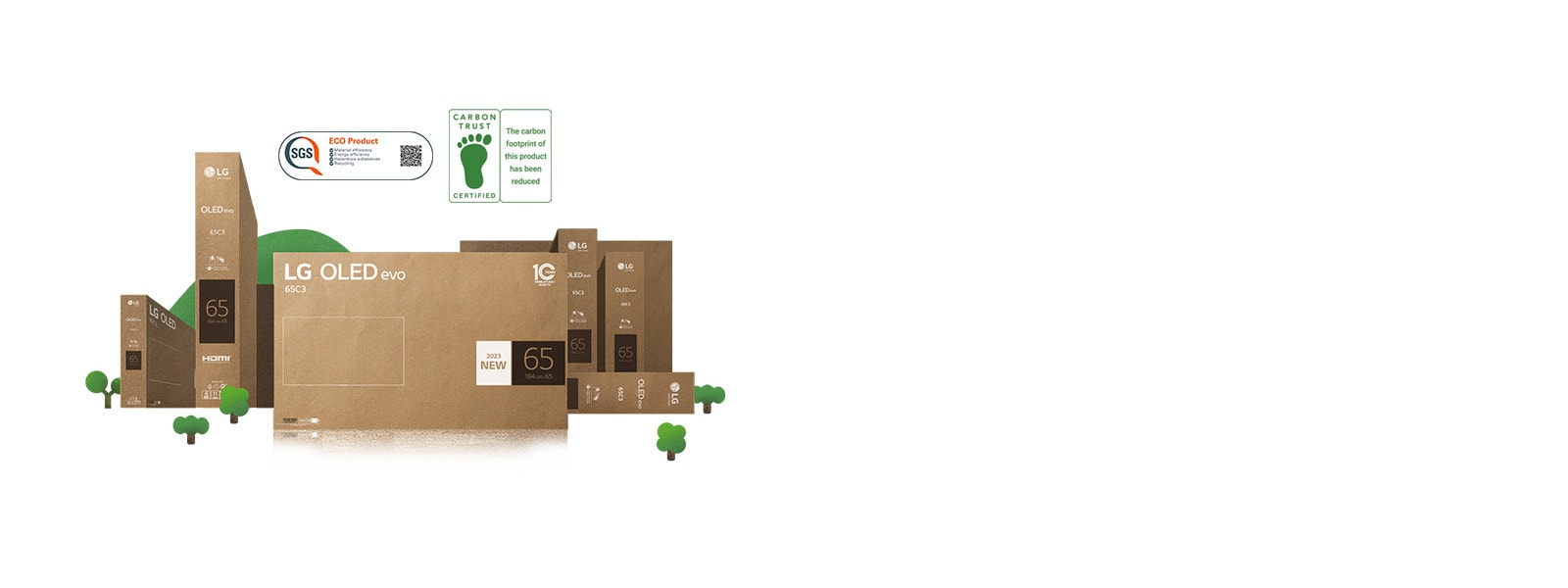 Emballage en carton LG OLED respectueux de l'environnement représenté autour d'arbres et de montagnes florissants.