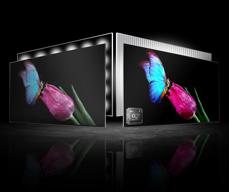 There are two TV screens – one on left another on right. There are same images of a blue butterfly sucking honey on a pink flower. An image on left is a bit pale while an image on right is very vivid. 