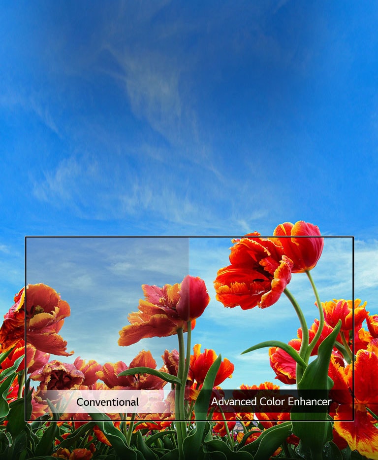 Dynamic Color Enhancer2