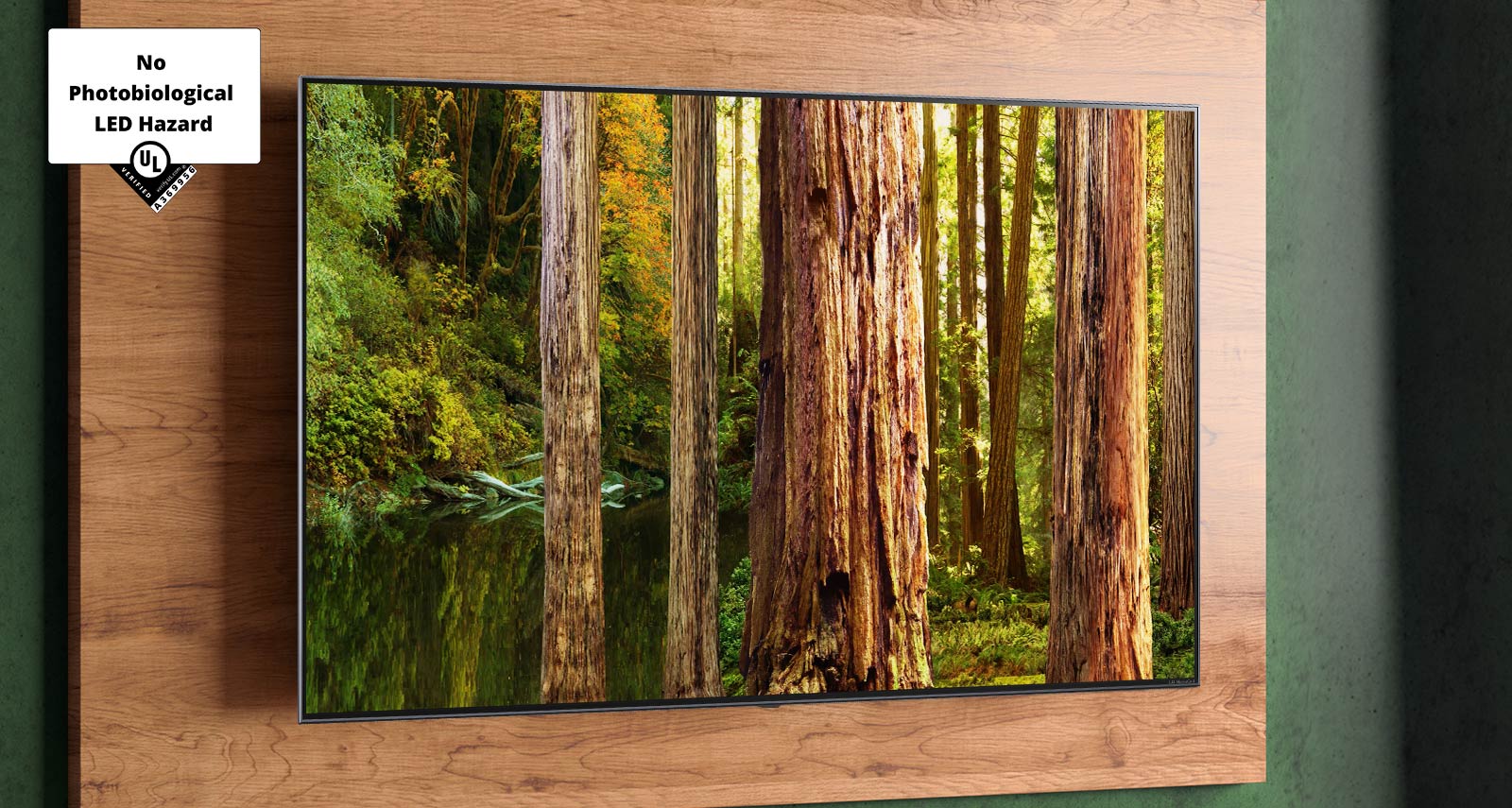 L'image d'une forêt sur l'écran du téléviseur avec la marque «UL qui a certifié aucun danger de LED photobiologique»