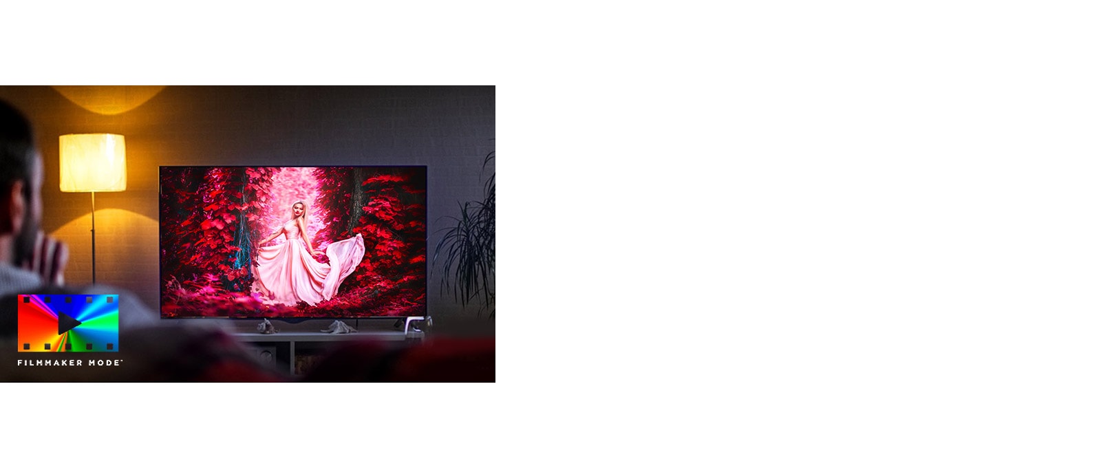 LG NanoCell TV 65 inch NANO79 Series 4K HDR Cinema Screen Design