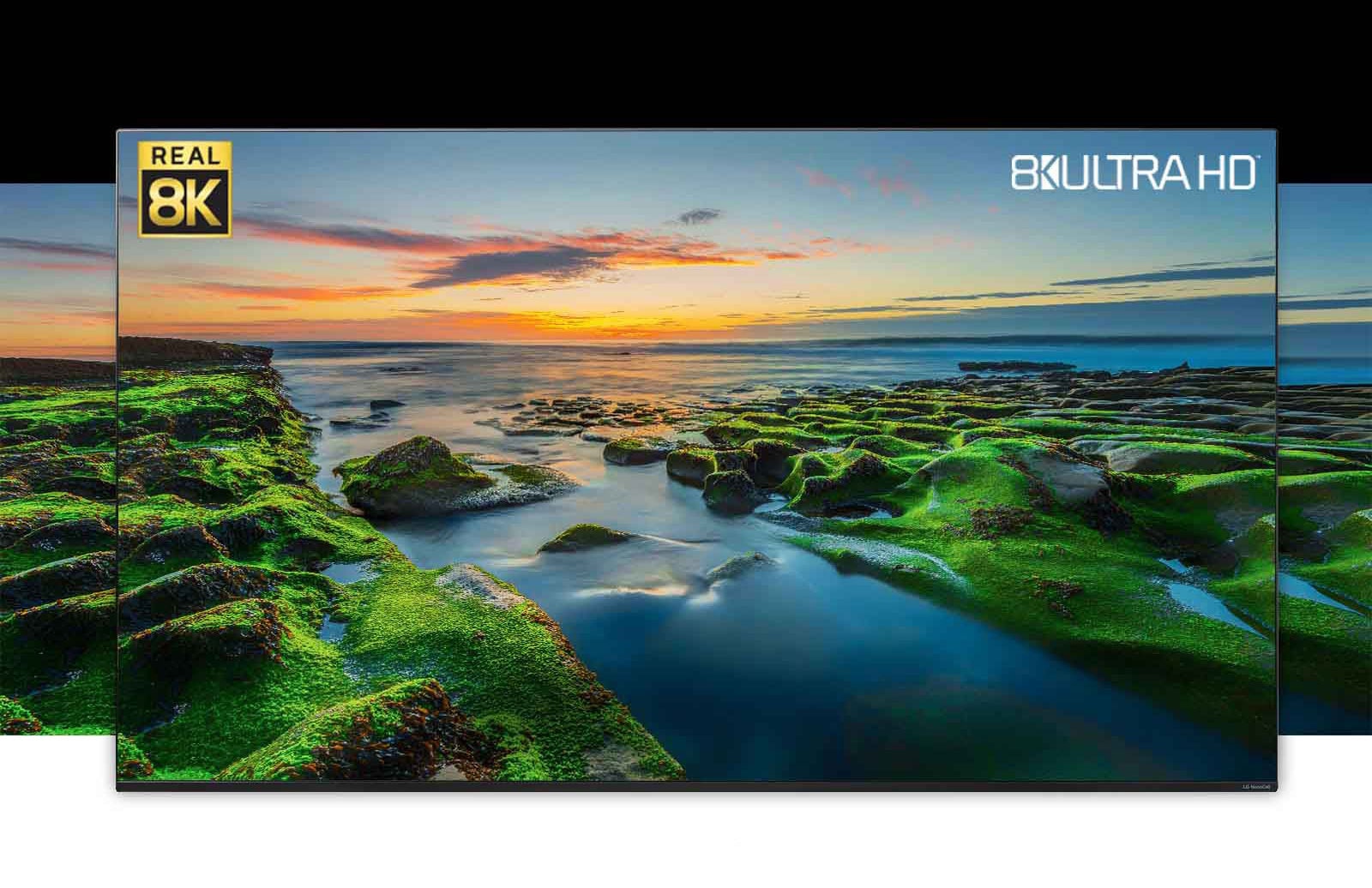 TV screen showing the wide view of nature with Real 8K and CTA logos