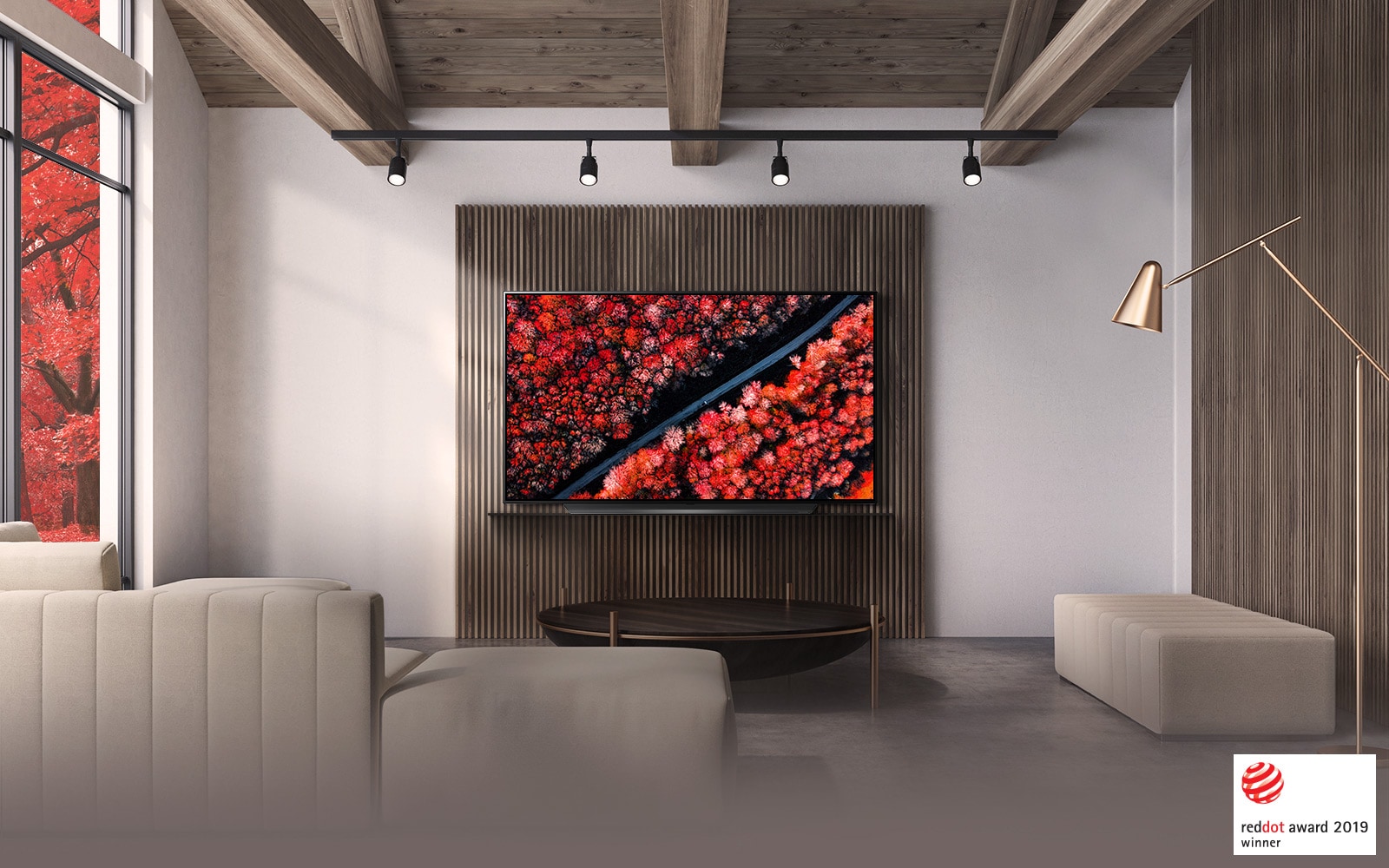 LG OLED 65 inch