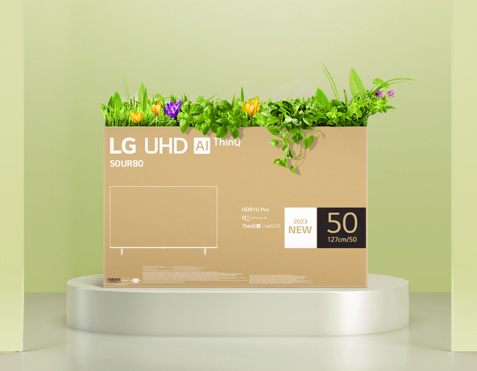 A flower box upcycled using an LG UHD&nbsp;TV&nbsp;box packaging.