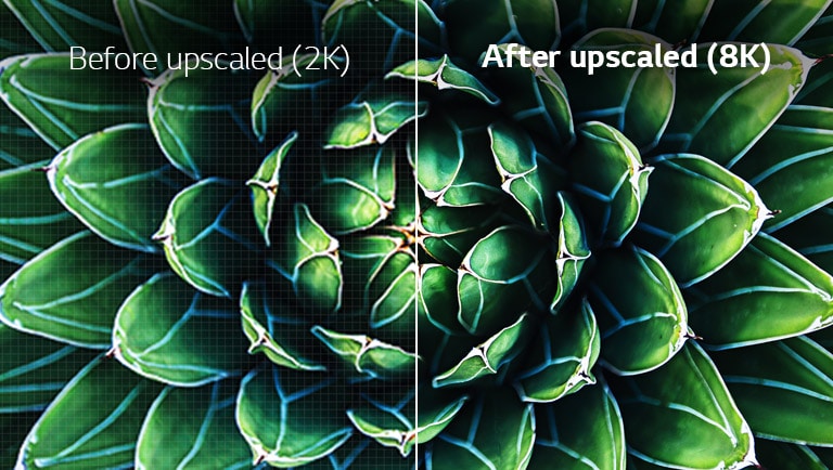 Before and after images of 8K upscaling are compared. The before image is blurry.