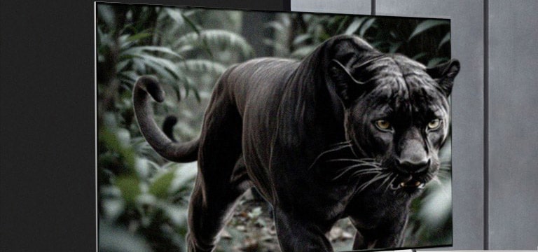 Panther in a jungle seemingly coming out of an LG TV screen on a stand. Lines appear as if AI is analyzing the panther and then the background. The overall image is enhanced showing how AI Perceived Object Enhancer brings 3D depth to every scene. 