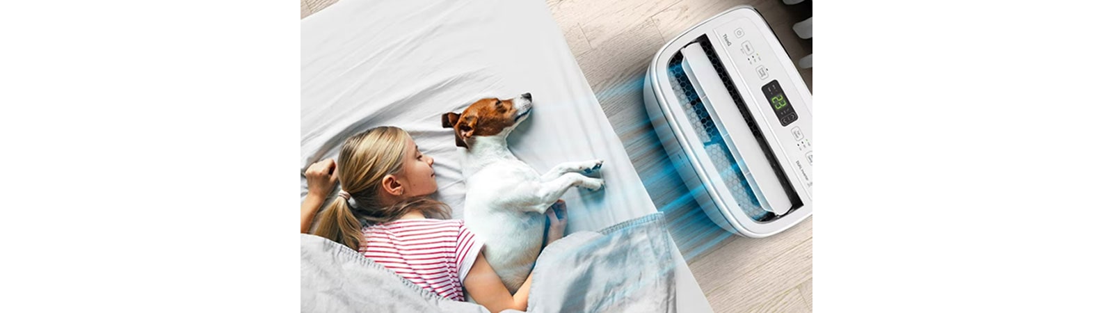 A child and a dog sleep in the cool breeze of the air conditioner