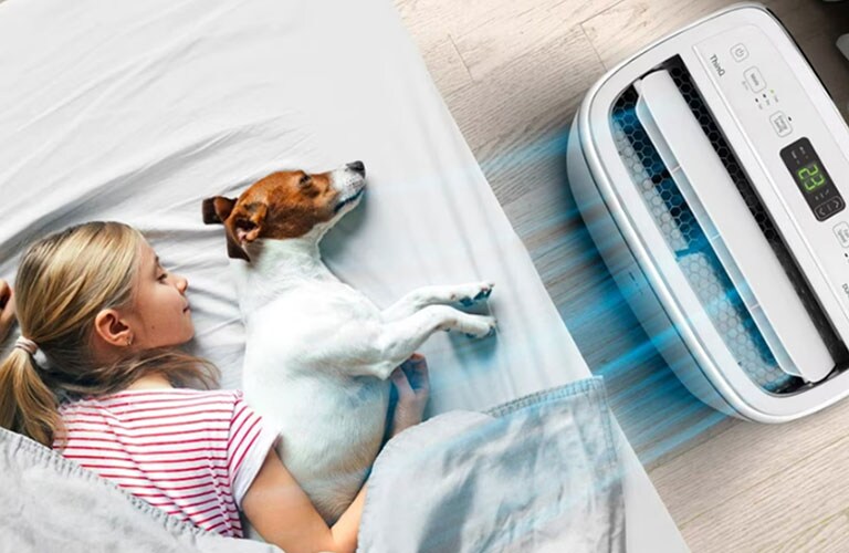 A child and a dog sleep in the cool breeze of the air conditioner