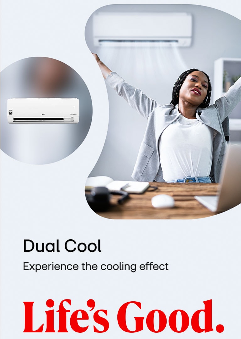 Dual Cool Web Banner 