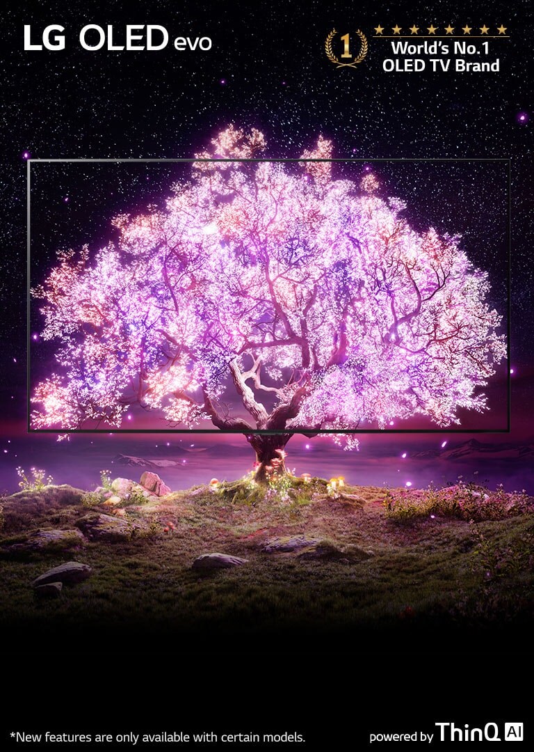 The scene where the OLED TV frame is overlapped with the image showing a tree shining in pink. The'World's No.1 OLED TV Brand' logo was placed on the upper right. The 'powered by ThinQ AI' logo was placed at the bottom right. 'LG OLED evo' logo was placed on the upper left corner