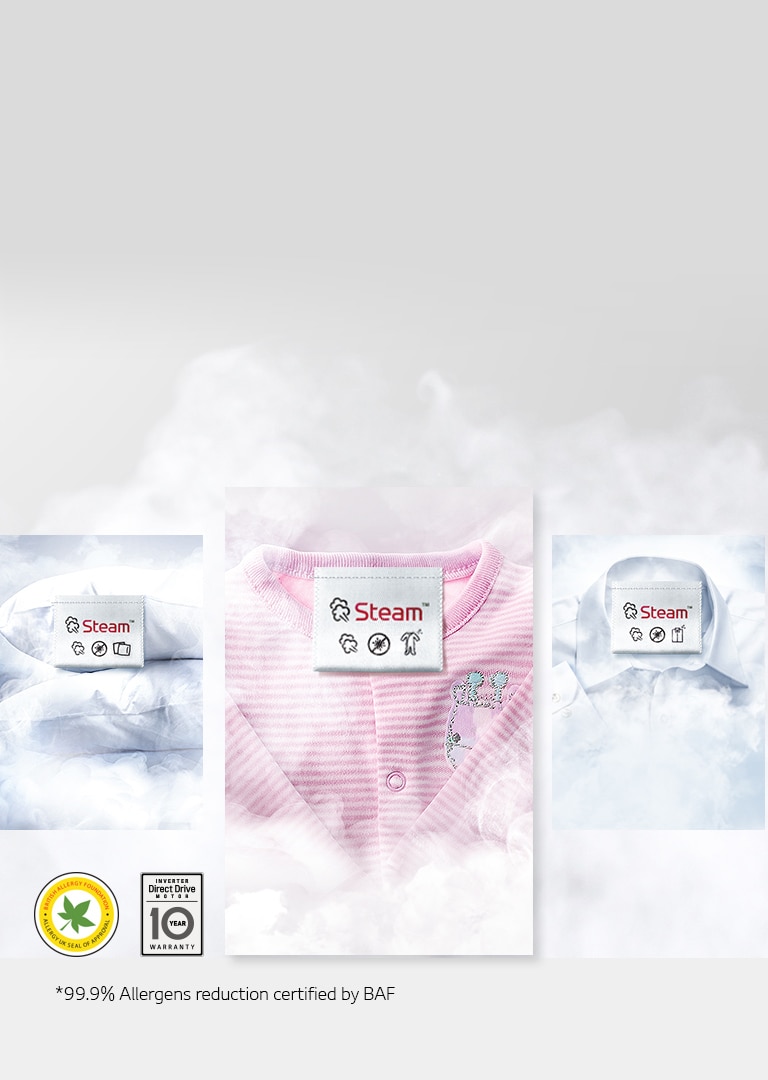 Steam Off 99.9% of Allergens