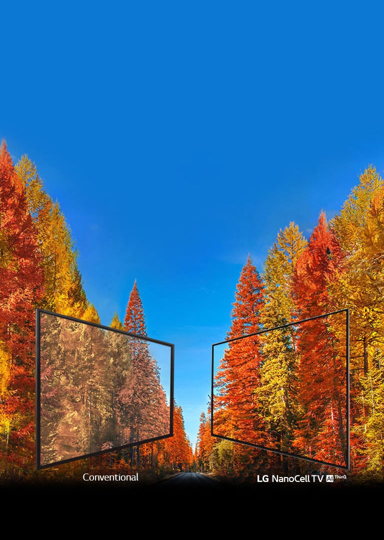 04_Wide_angle_mobile_banner_v2