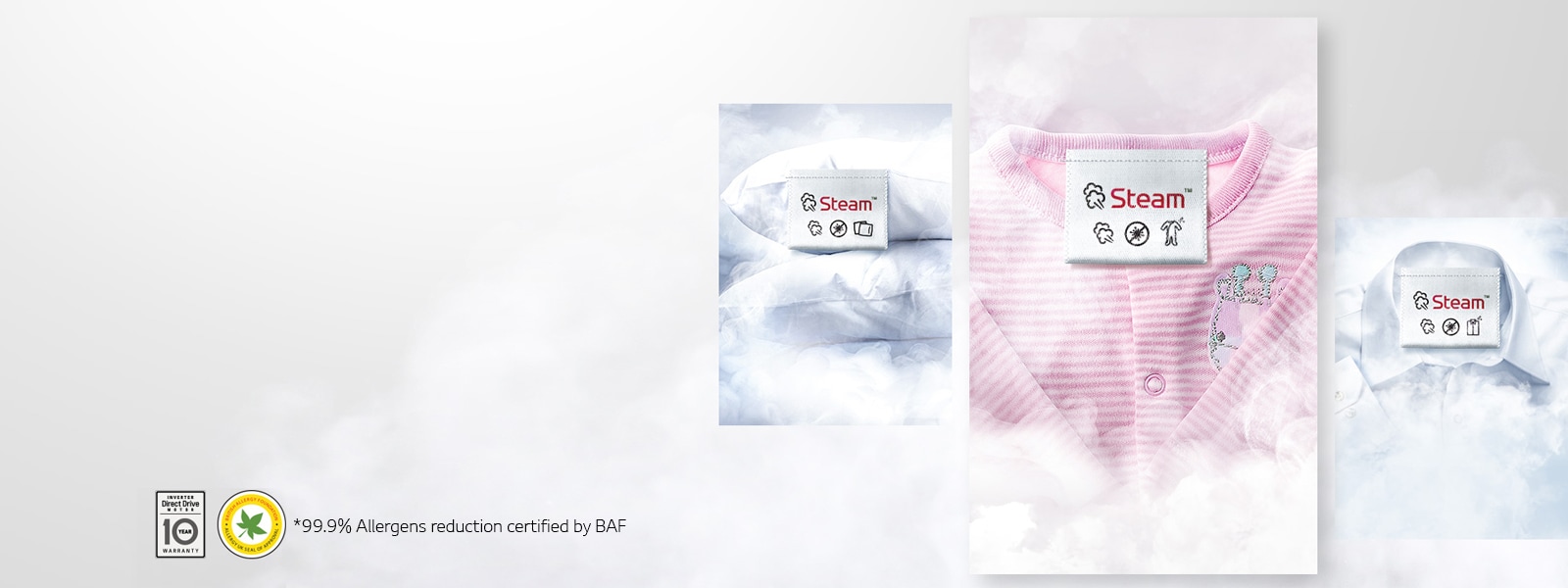 01-Steam-Allergens-D