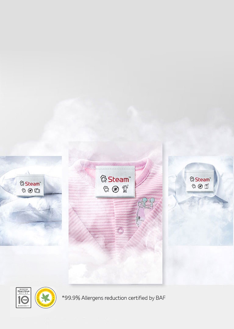 01-Steam-Allergens-M-V2222