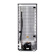 LG 165(L) | Single Door Refrigerator | Smart Inverter Compressor | Smart Storage | Sleek Design, GN-304SLBT, thumbnail 15