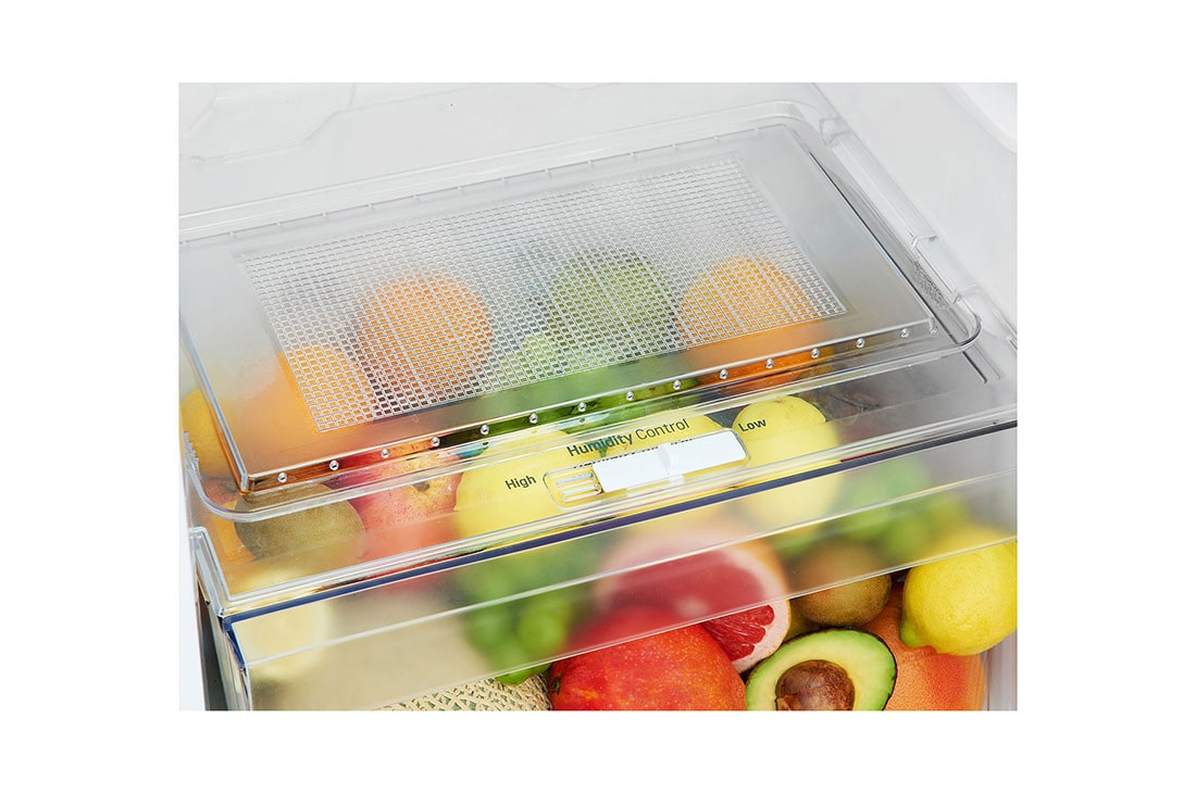Solrig En god ven rørledning LG Net 256(L) Top Freezer Refrigerator | Nature Fresh | Multi Air Flow | LG  East Africa