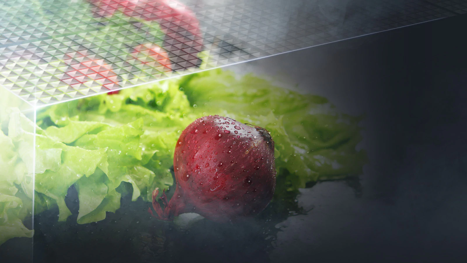 LG GC-J247SQXV 601L Moist Balance Crisper