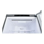 LG 306(L) | Bottom Freezer Refrigerator | Smart Inverter Compressor | LINEARCooling™ | Door Cooling+™, USP detail 1, GC-B369NLJM, thumbnail 4