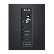 LG 462(L) | Bottom Freezer Refrigerator | Smart Inverter Compressor | NatureFRESH™ | Door Cooling+™, display detail view, GC-B569NQCM, thumbnail 8