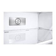 LG 375(L) | Top Freezer Refrigerator |Smart Inverter Compressor | LinearCooling™ | DoorCooling+™, GL-B472PLGB, thumbnail 4