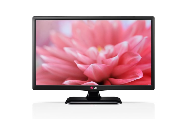 LG LED TV with IPS panel, 24LB4500