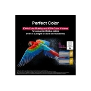 LG 77 inch LG OLED evo AI C5 4K 144Hz Smart TV AI Magic remote webOS25 2025 , Colorful parrot in ultra-high definition against a black background. Water drops are suspended in the air all around it. The image showcases Perfect Color as each different hue on the parrot's body is, OLED77C56LA, thumbnail 8