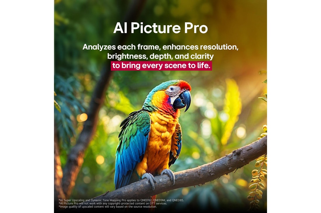 LG 75 inch LG QNED evo AI QNED86 4K 120Hz Smart TV AI Magic remote webOS25 2025 , Parrot on a tree branch in vivid color. The title talks about how LG Al Picture Pro made impressive visual enhancements to the scene's resolution, brightness, depth, and clarity., 75QNED86A6A, thumbnail 9