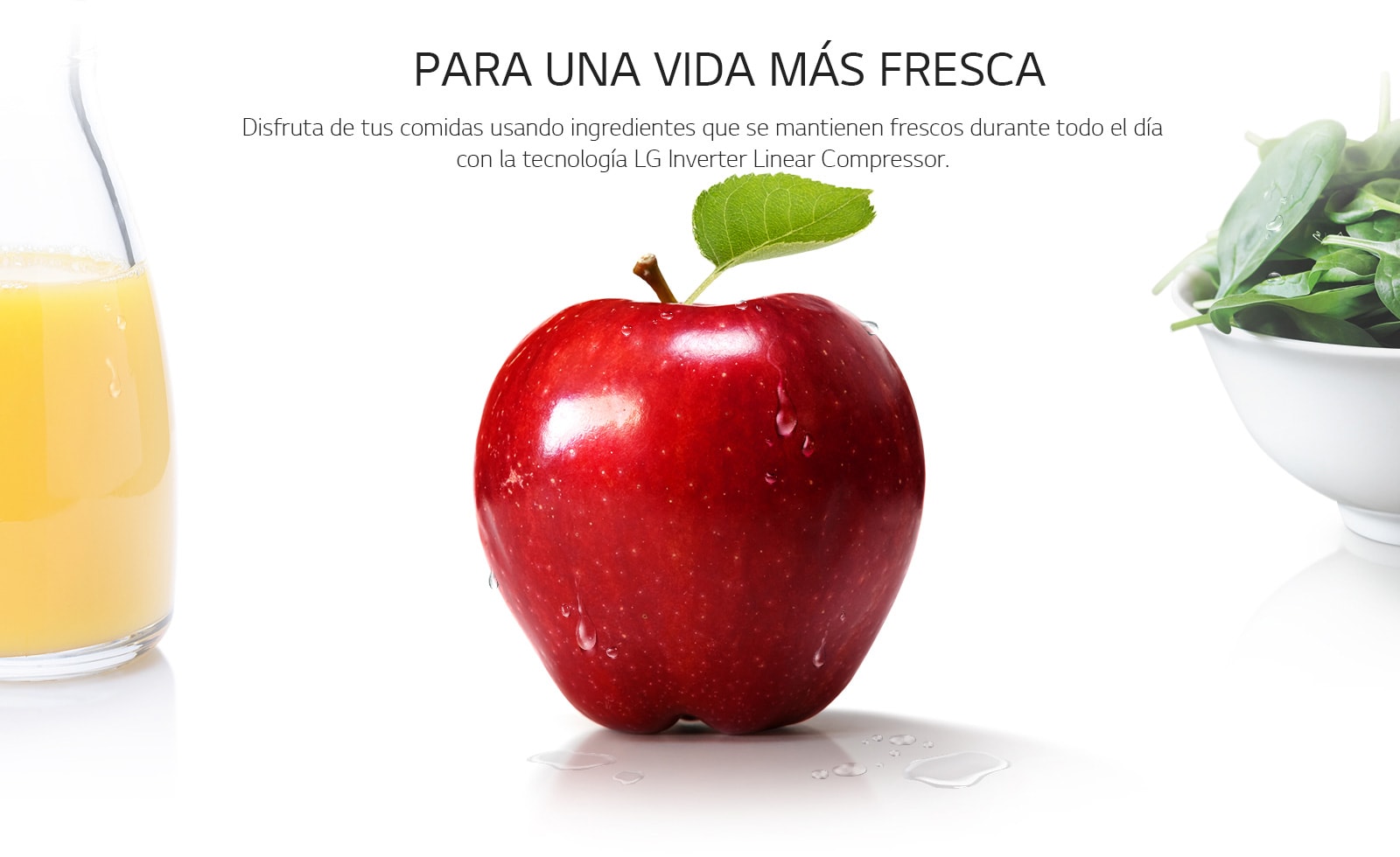 HnA-Inverter-02-1-REF-Making-Life-Fresher-D