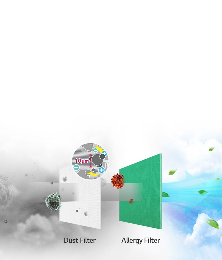 Filtra los contaminantes no deseados2