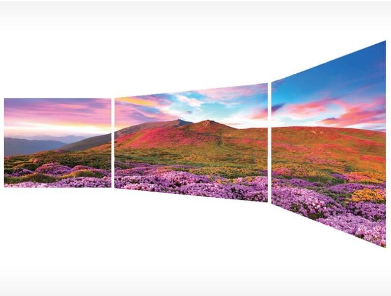 Pantalla de visualización perfecta2